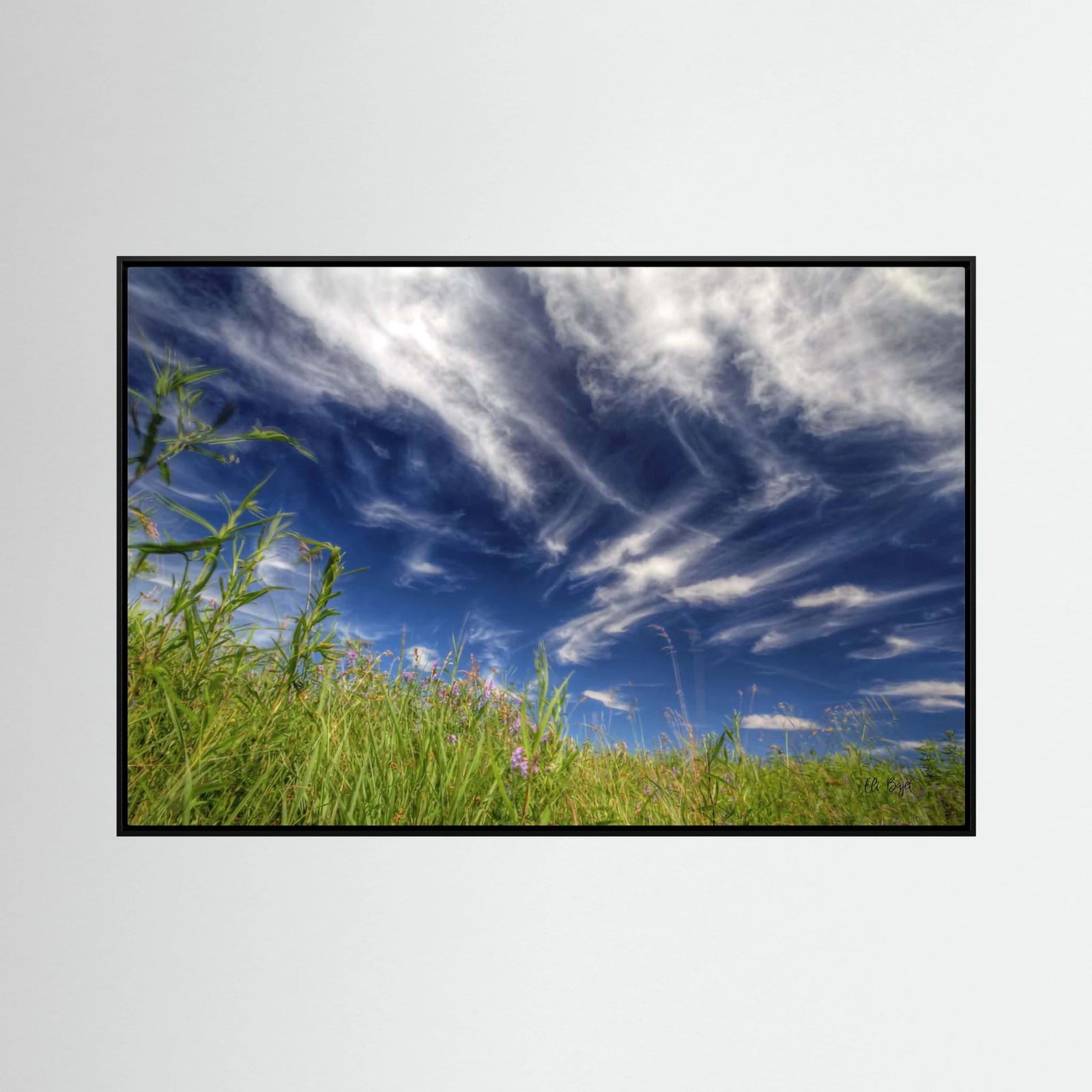 Summer Afternoon