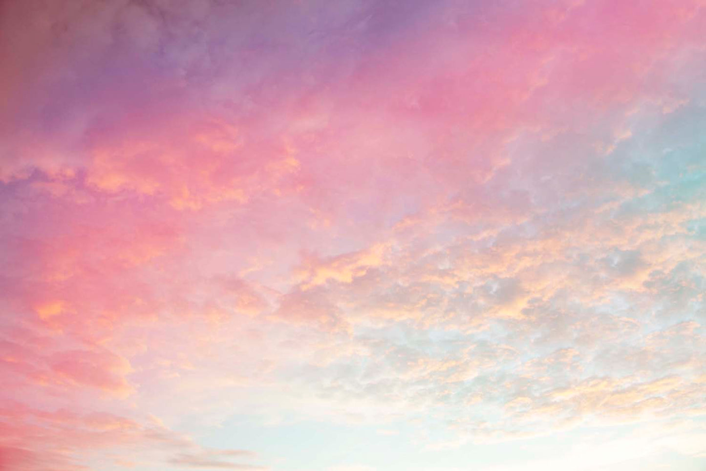 Softness