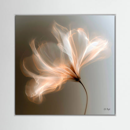Enlightment