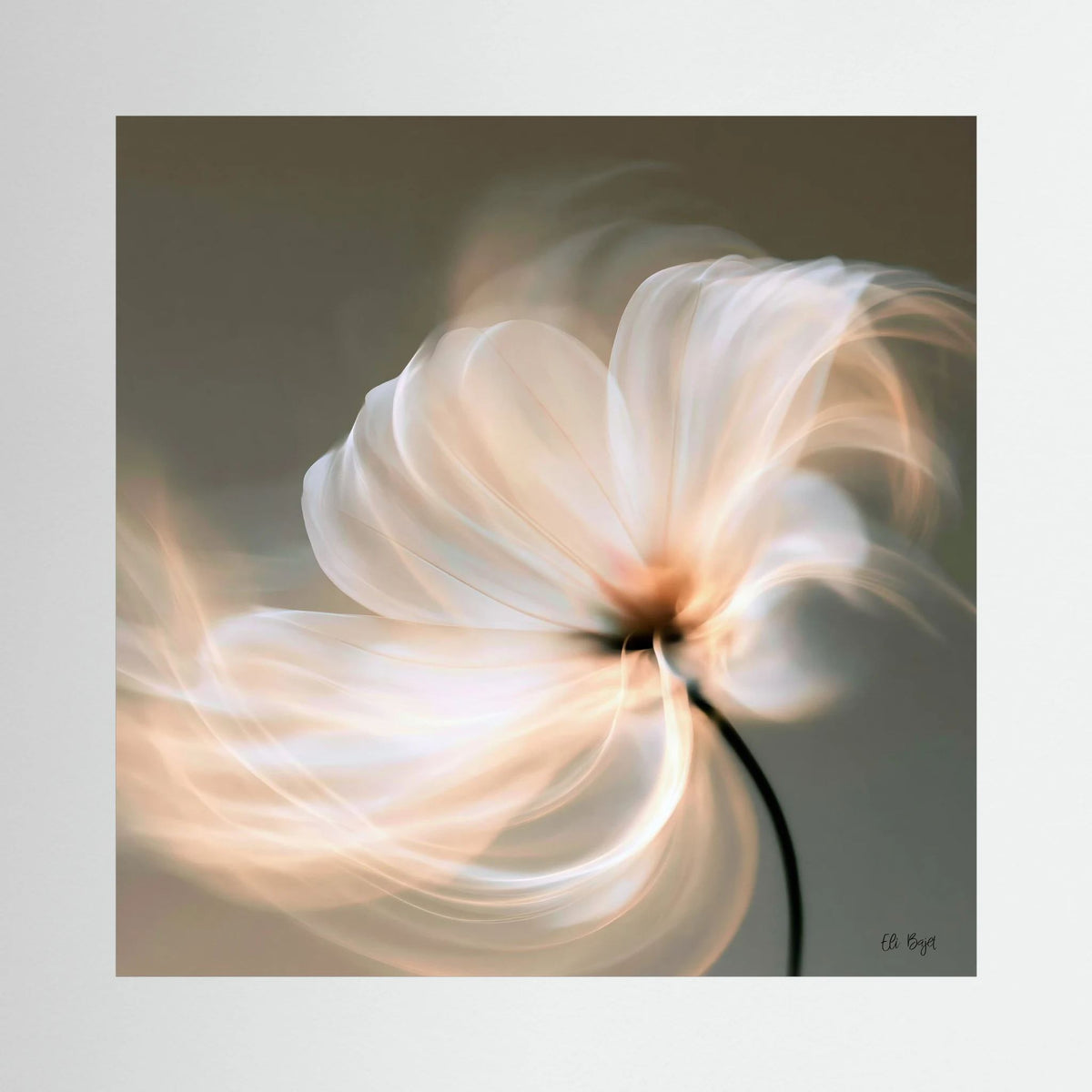 Enlightment