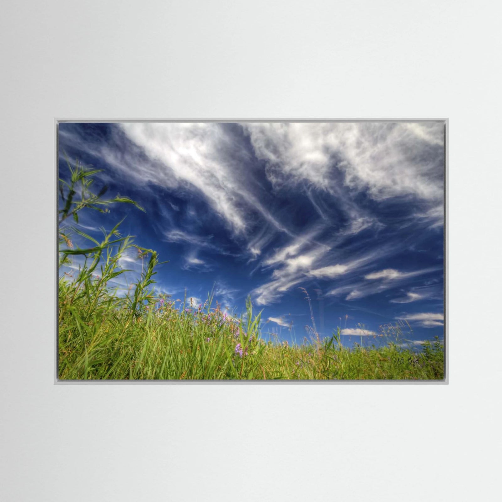 Summer Afternoon