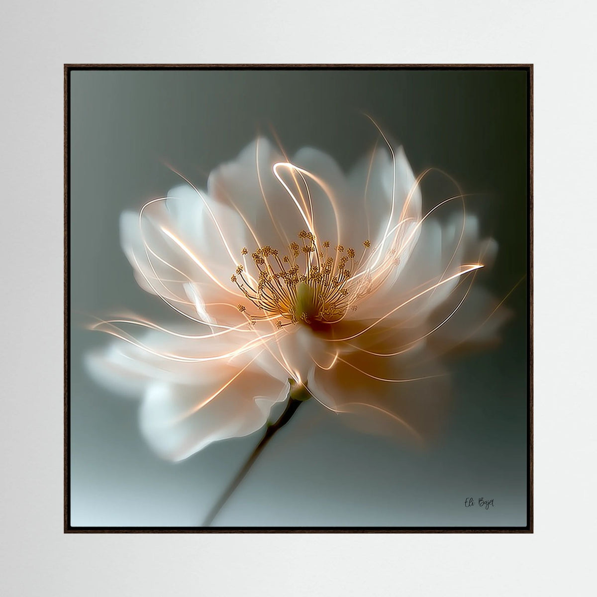 Abundance Glow