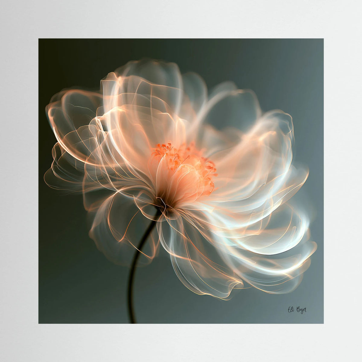 Serendipity Glow