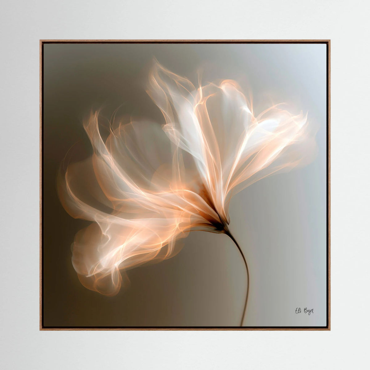 Enlightment