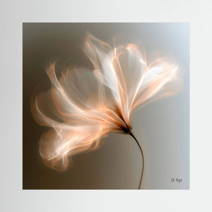 Enlightment