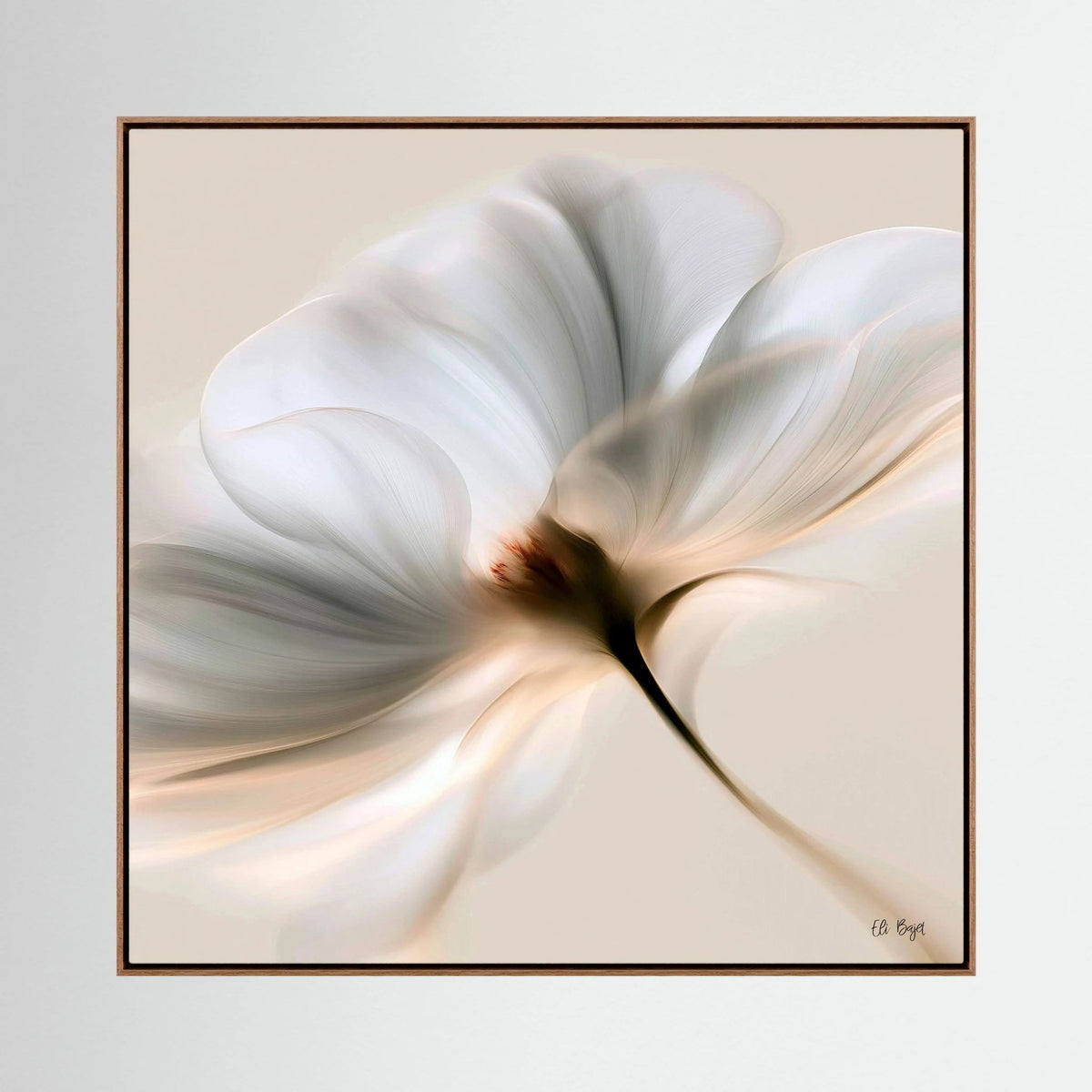 Illuminated Grace